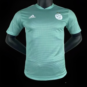 Player Version 2023 Algeria Green Jersey